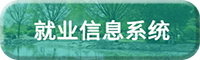 网